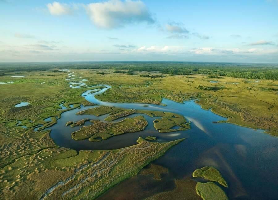 Flordia Everglades