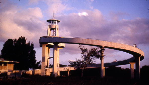 Observation Tower in Shark Valley